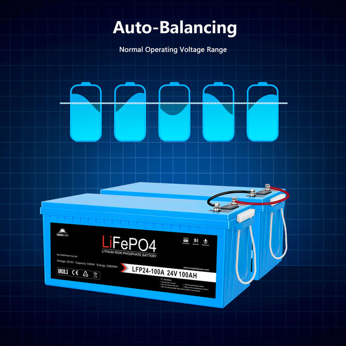 SunGoldPower  2 X 24V 100Ah LiFePo4 Deep Cycle Lithium Battery Bluetooth / Self-Heating / IP65