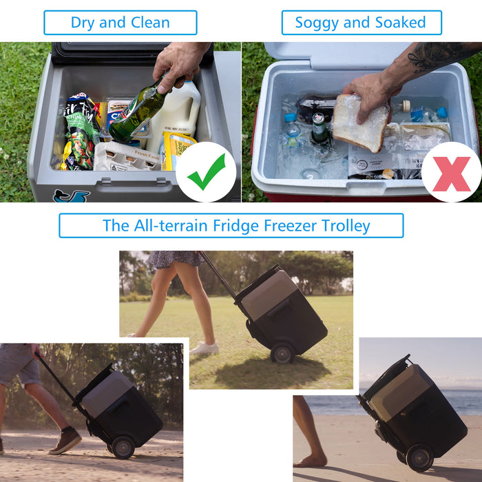 ACOPOWER LionCooler Pro Portable Solar Fridge Freezer, 32 Quarts
