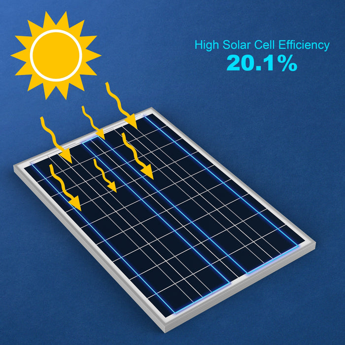 poly 100w