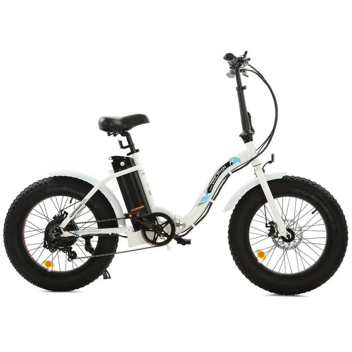  portable  Ecotric Electric Bike C-NDOL20LED-WB
