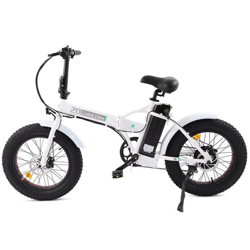  Ecotric Electric Bike C-NFAT20810-WB
