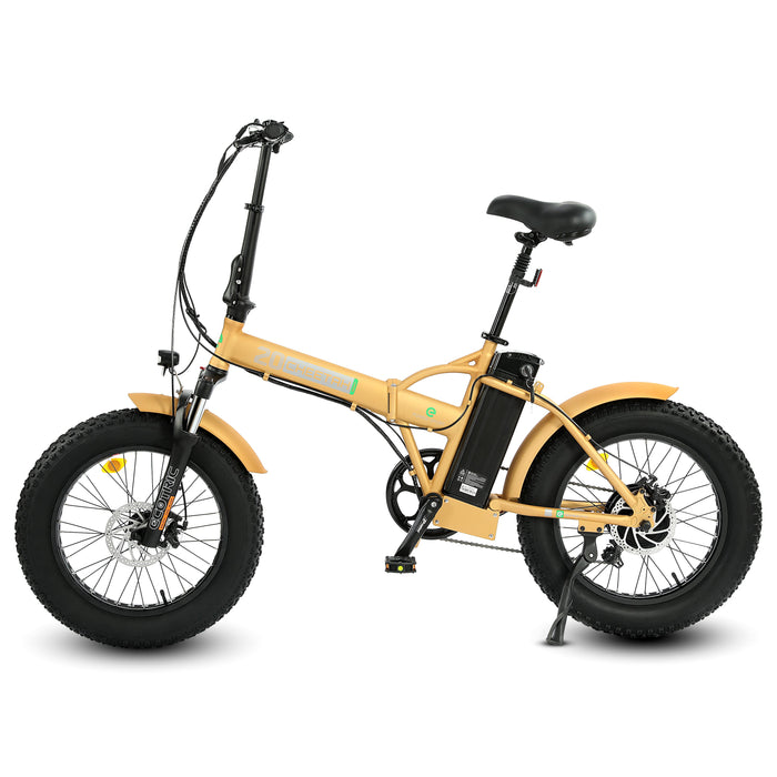 Ecotric 48V Fat Tire Portable and Folding Electric Bike with LCD display