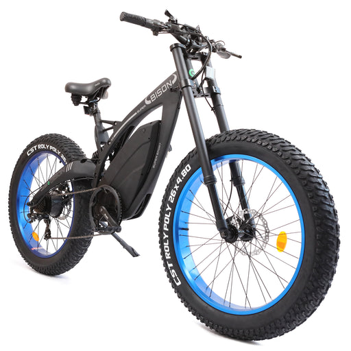   Ecotric Electric Bike NS-SON26LCD-BL
