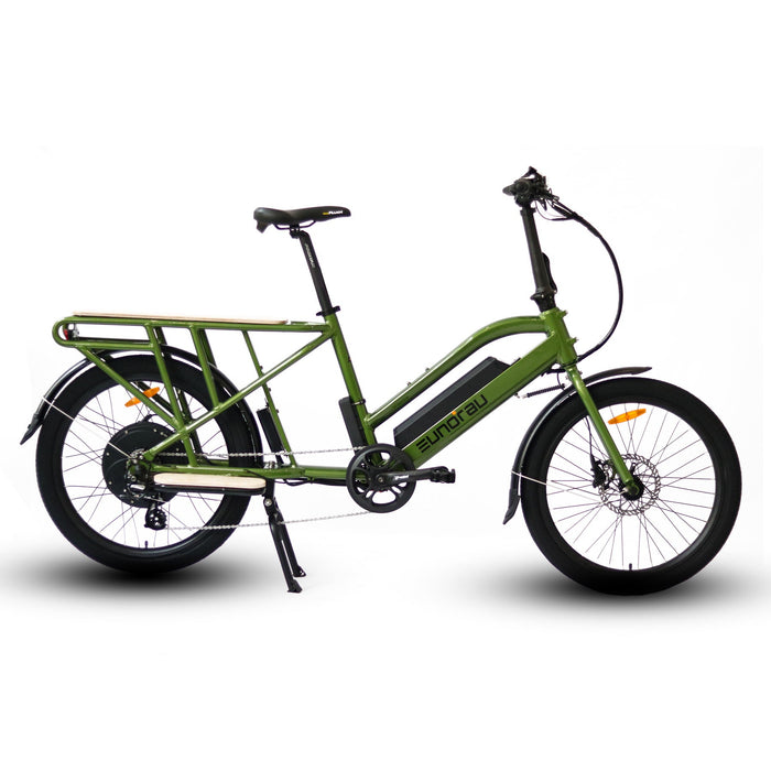   Eunorau Electric Bike MAX-CARGO-W214AH
