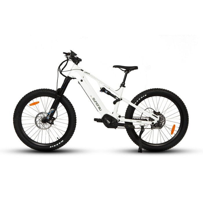  Eunorau Electric Bike URUS-17GY
